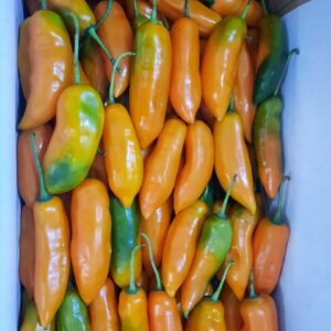 Aji Amarillo Fresco